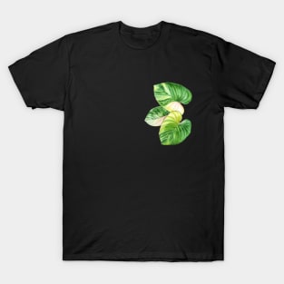 Homalomena Tropical Plant T-Shirt